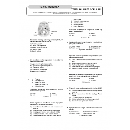 Denttest Deneme Sınavları / 16.Cilt