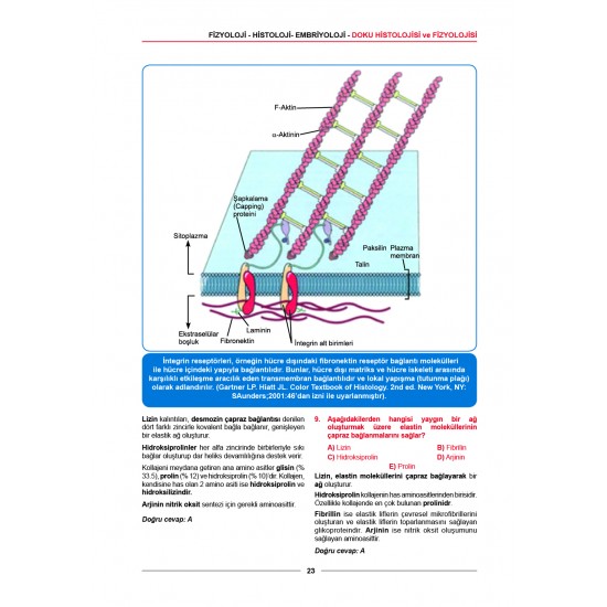 Meditus Soruları - Fizyoloji ( 5.Baskı )
