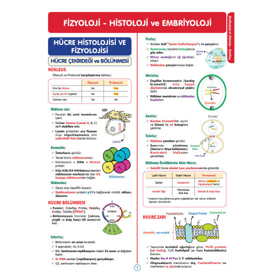 RAPİDUS Kampı Temel Bilimler ( 1.Cilt ) - 3.Baskı