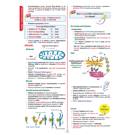 RAPİDUS Kampı Temel Bilimler ( 1.Cilt ) - 3.Baskı