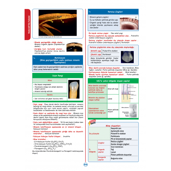 RAPİDUS Kampı Klinik Bilimler ( 3.Cilt ) - 3.Baskı