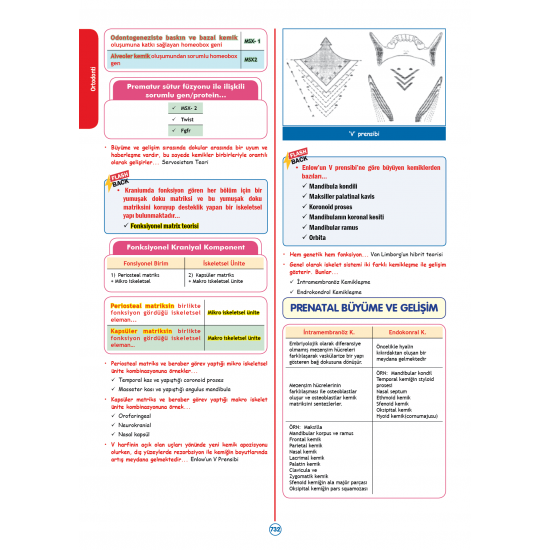 RAPİDUS Kampı Klinik Bilimler ( 4.Cilt ) - 3.Baskı