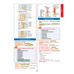 RAPİDUS Kampı Klinik Bilimler ( 4.Cilt ) - 3.Baskı