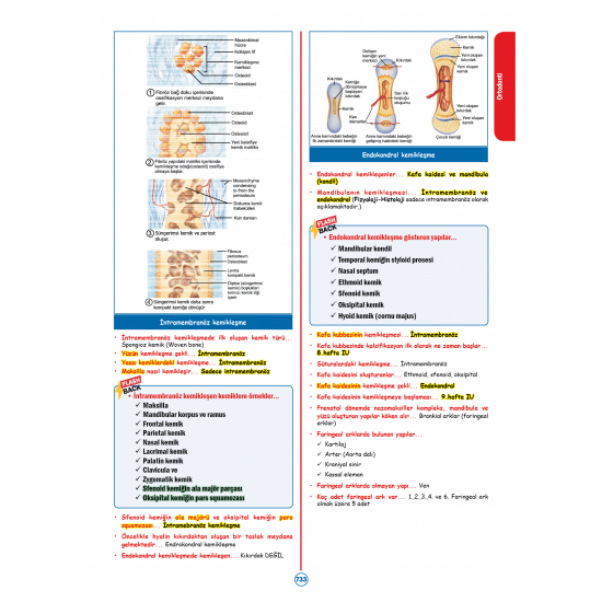 RAPİDUS Kampı Klinik Bilimler ( 4.Cilt ) - 3.Baskı